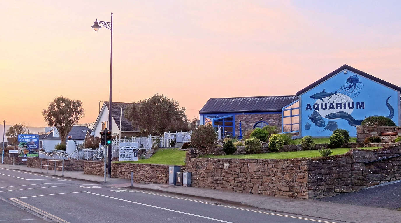 Dingle