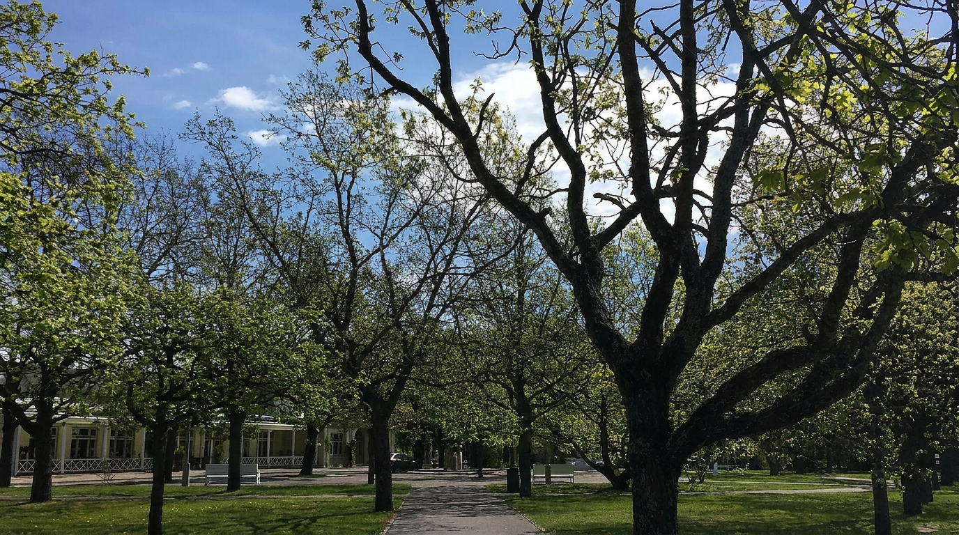 Pärnu