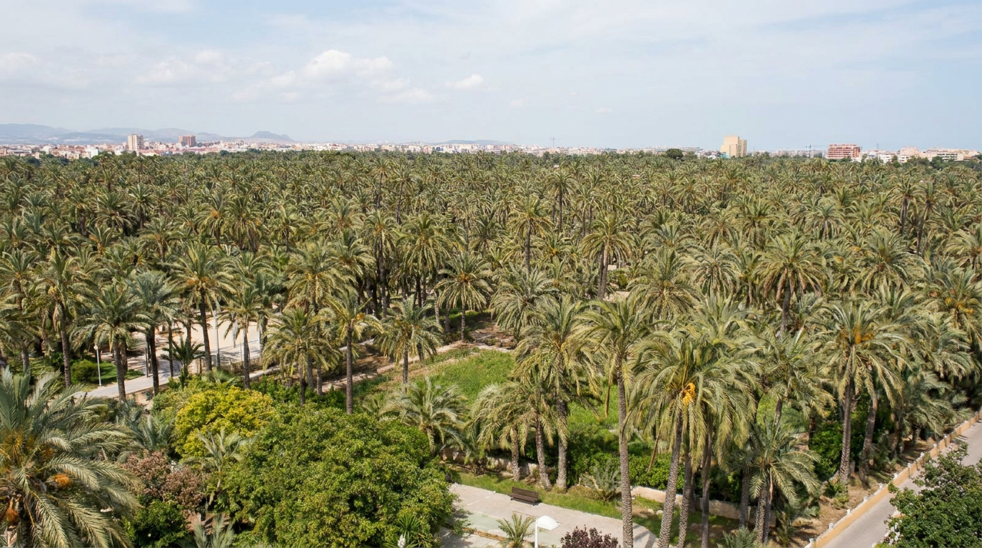 Elche